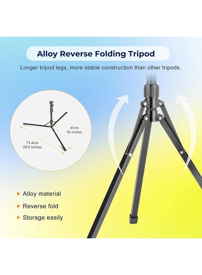 Aureday 14'' Selfie Ring Light with 62'' Tripod Stand and Phone Holder, Dimmable LED Phone Ringlight for Makeup/Video Recording/Photography, Circle Lighting for All Cell Phones&Lightweight Cameras - Image 4